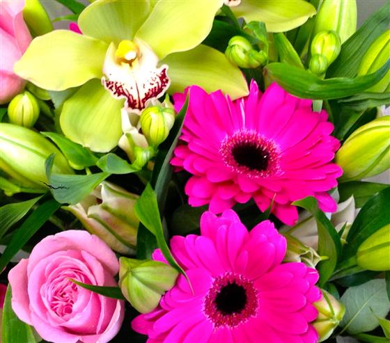 Bright and Beautiful