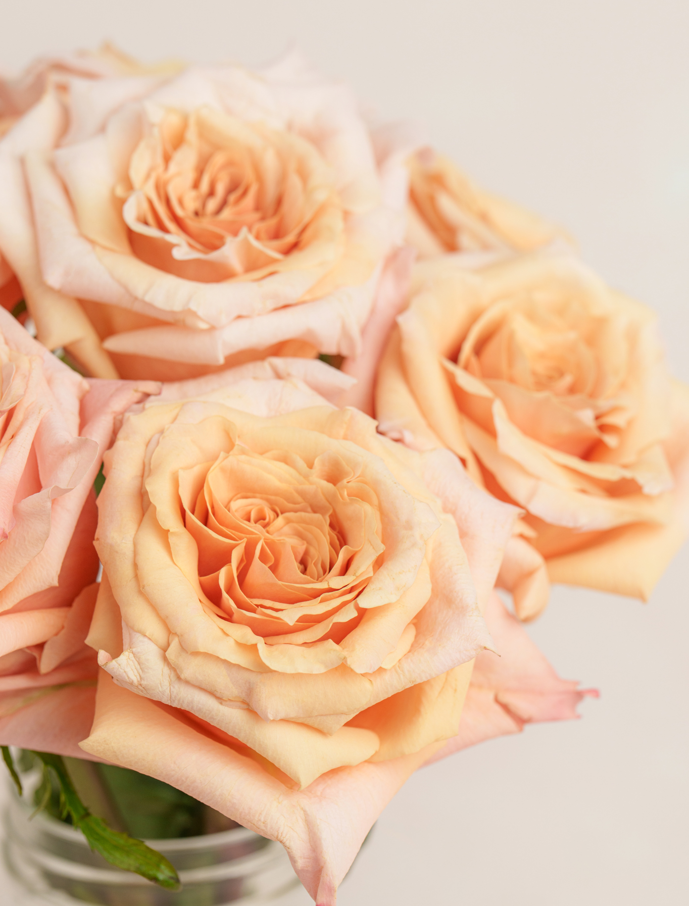Original by Ode a La ROSE- Chicago  — flowers available for delivery from Floom