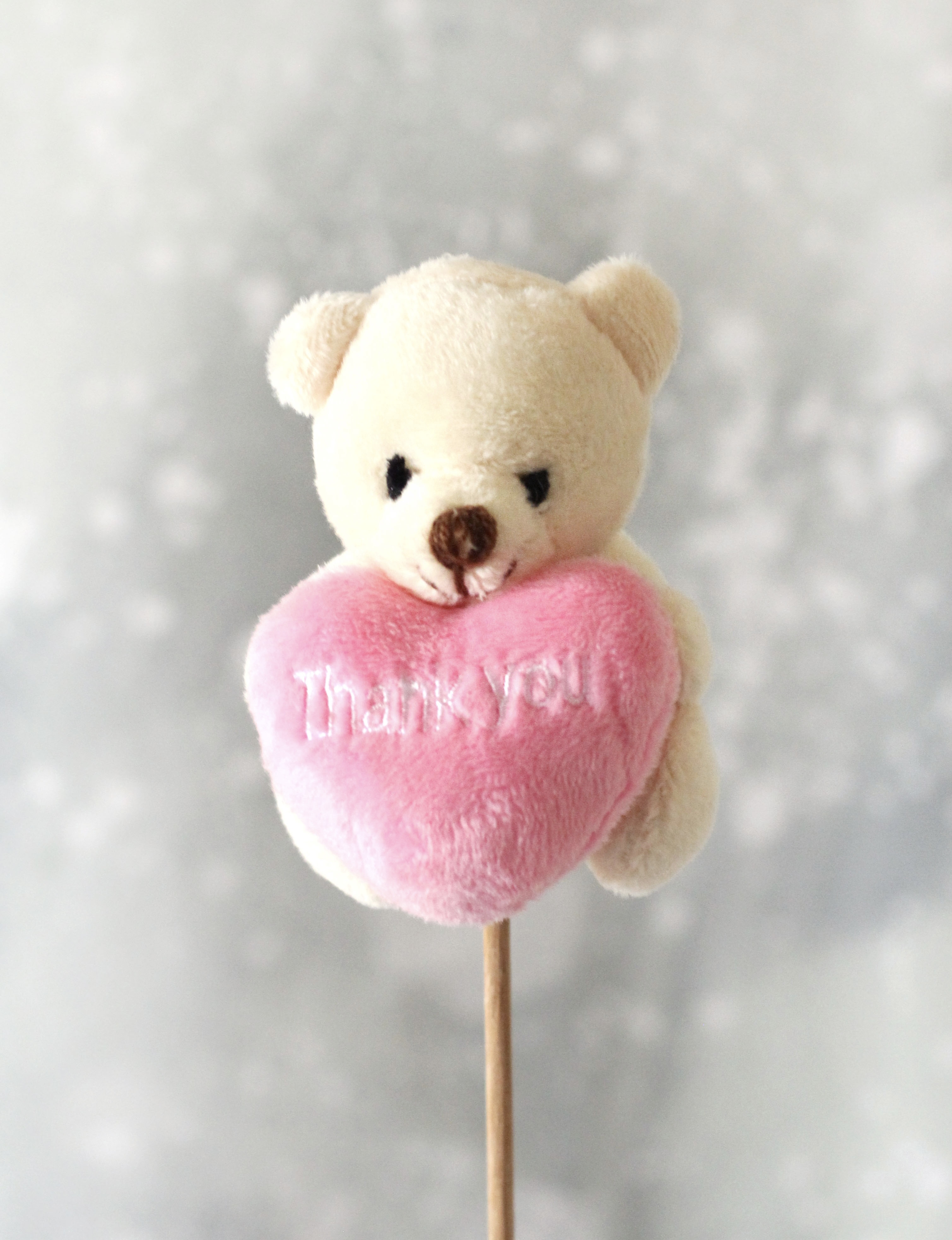 Beige Teddy pink heart