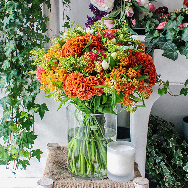 Love Street original