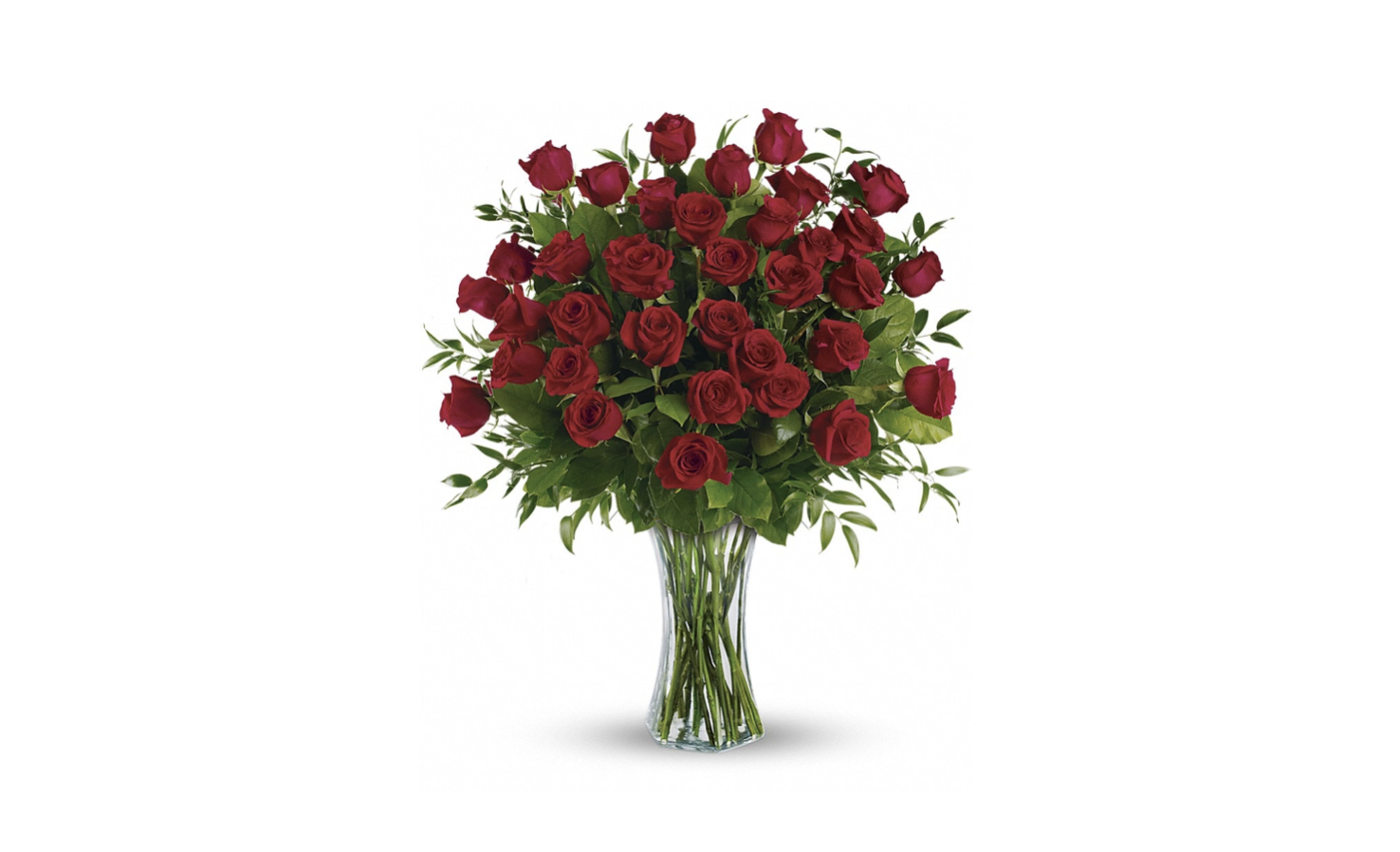 Three Dozen Red Roses