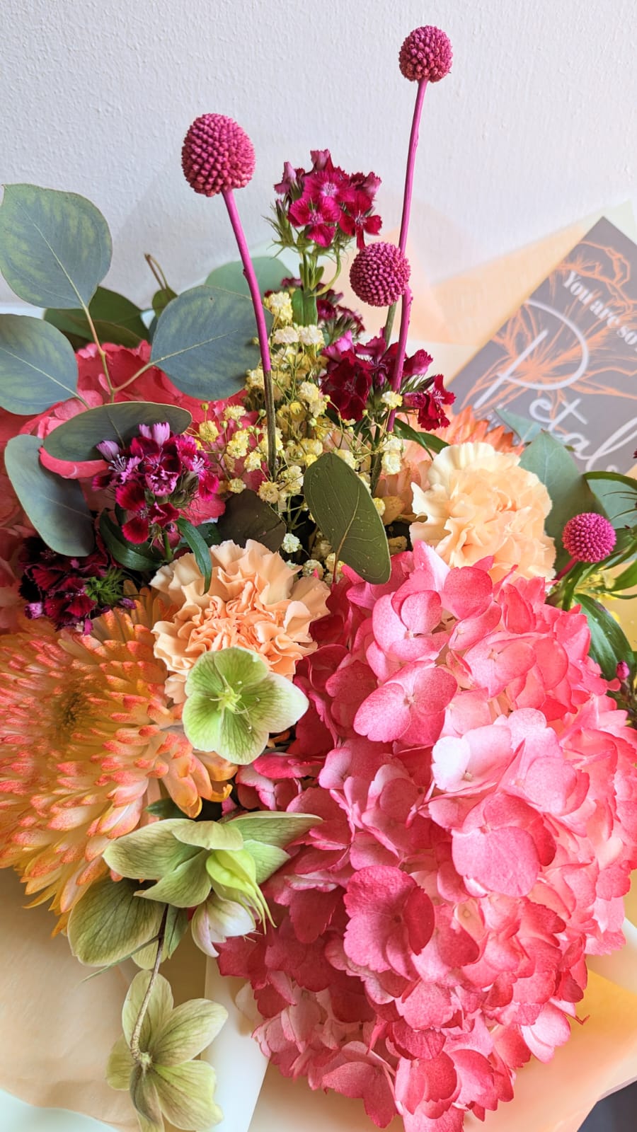 Bright and Beautiful