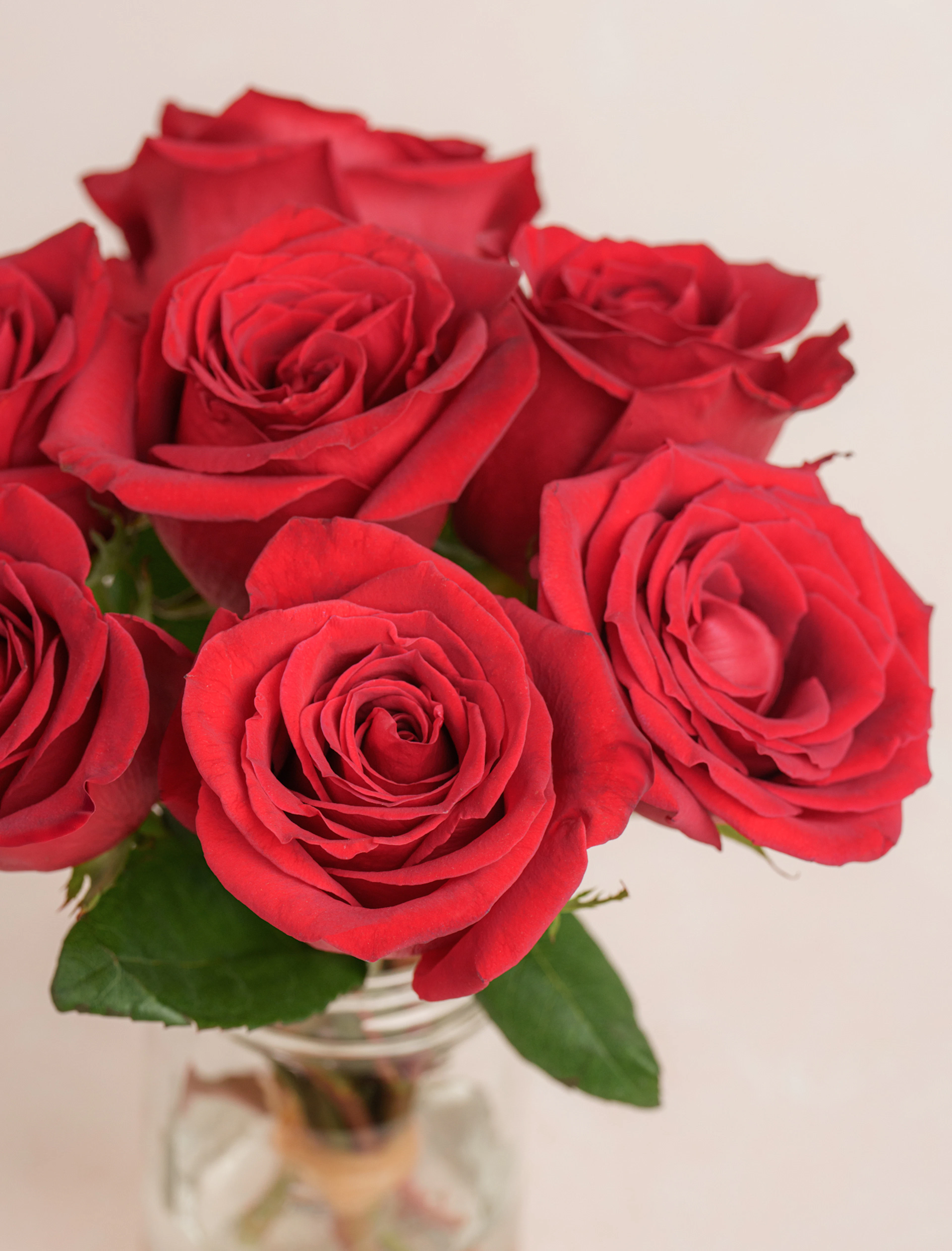 Original by Ode a La ROSE- Chicago — flowers available for delivery from Floom