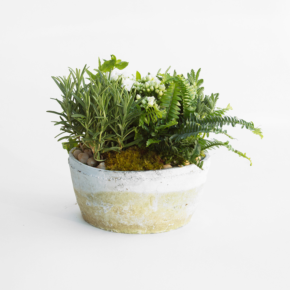 Blooming with Herbs original