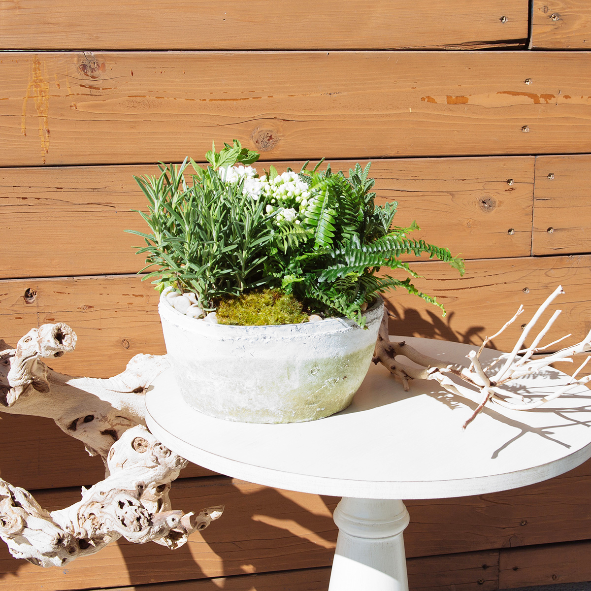 Blooming with Herbs original