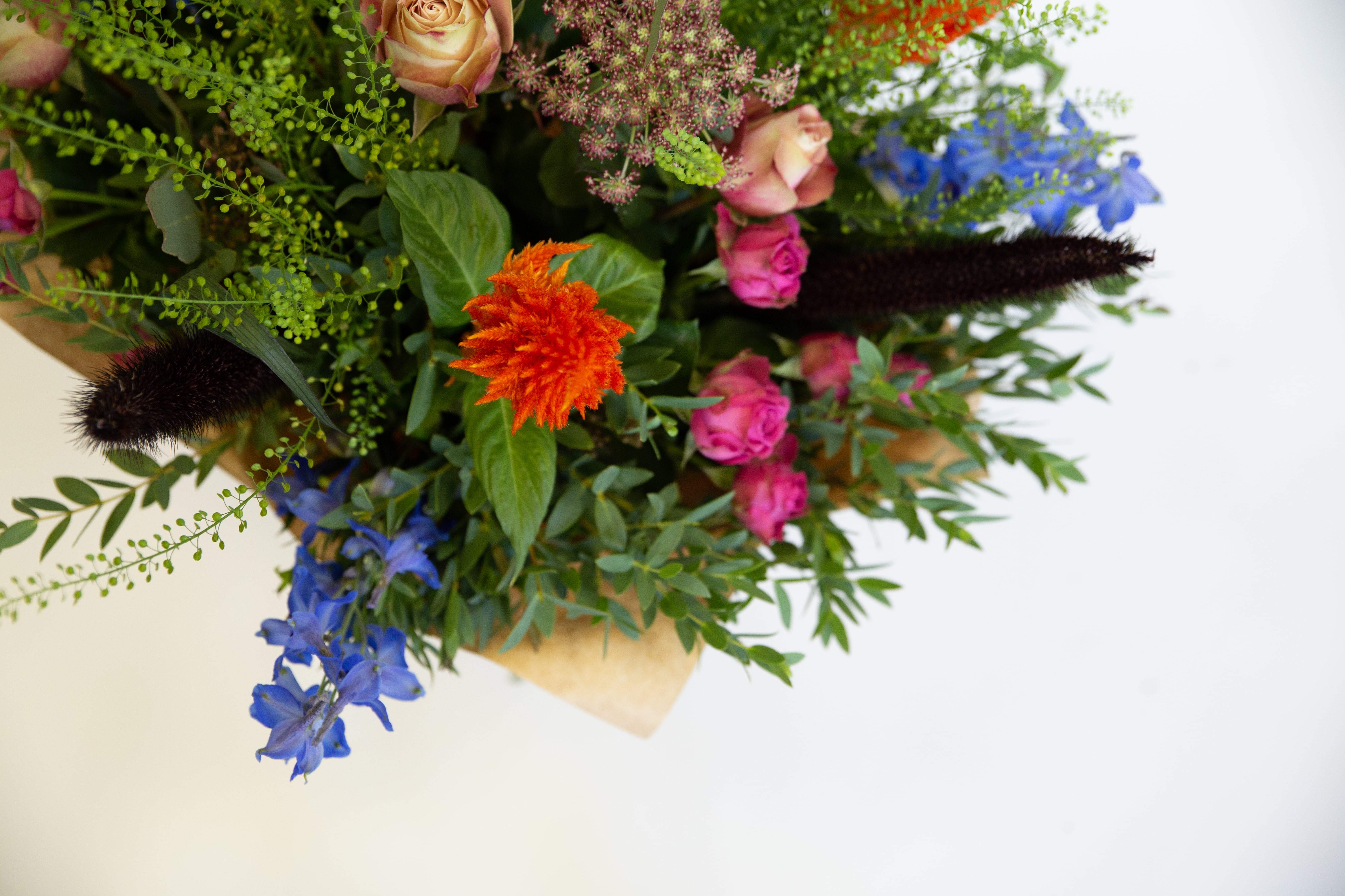 Bonfire Hearts original