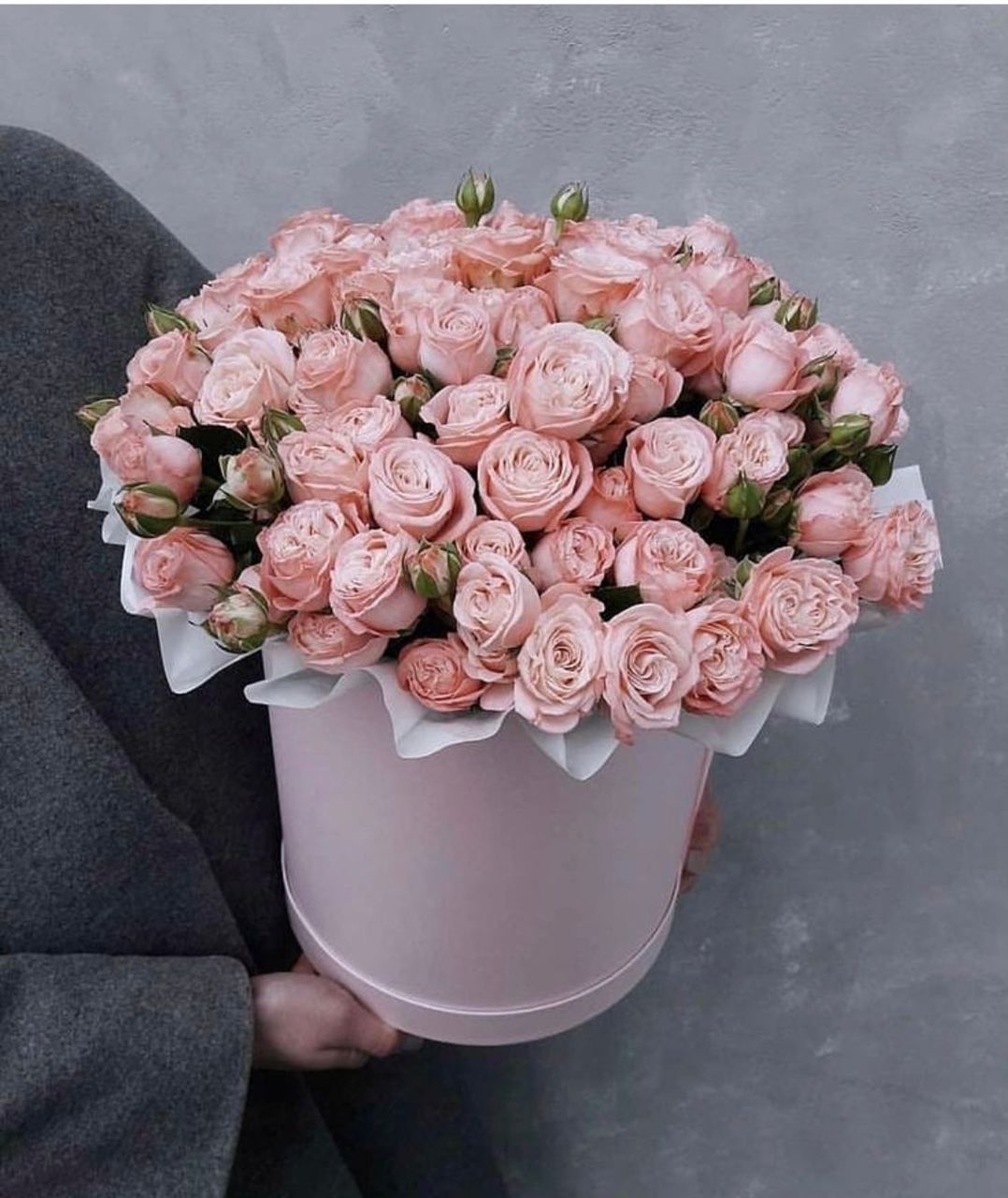Pink Spray roses
