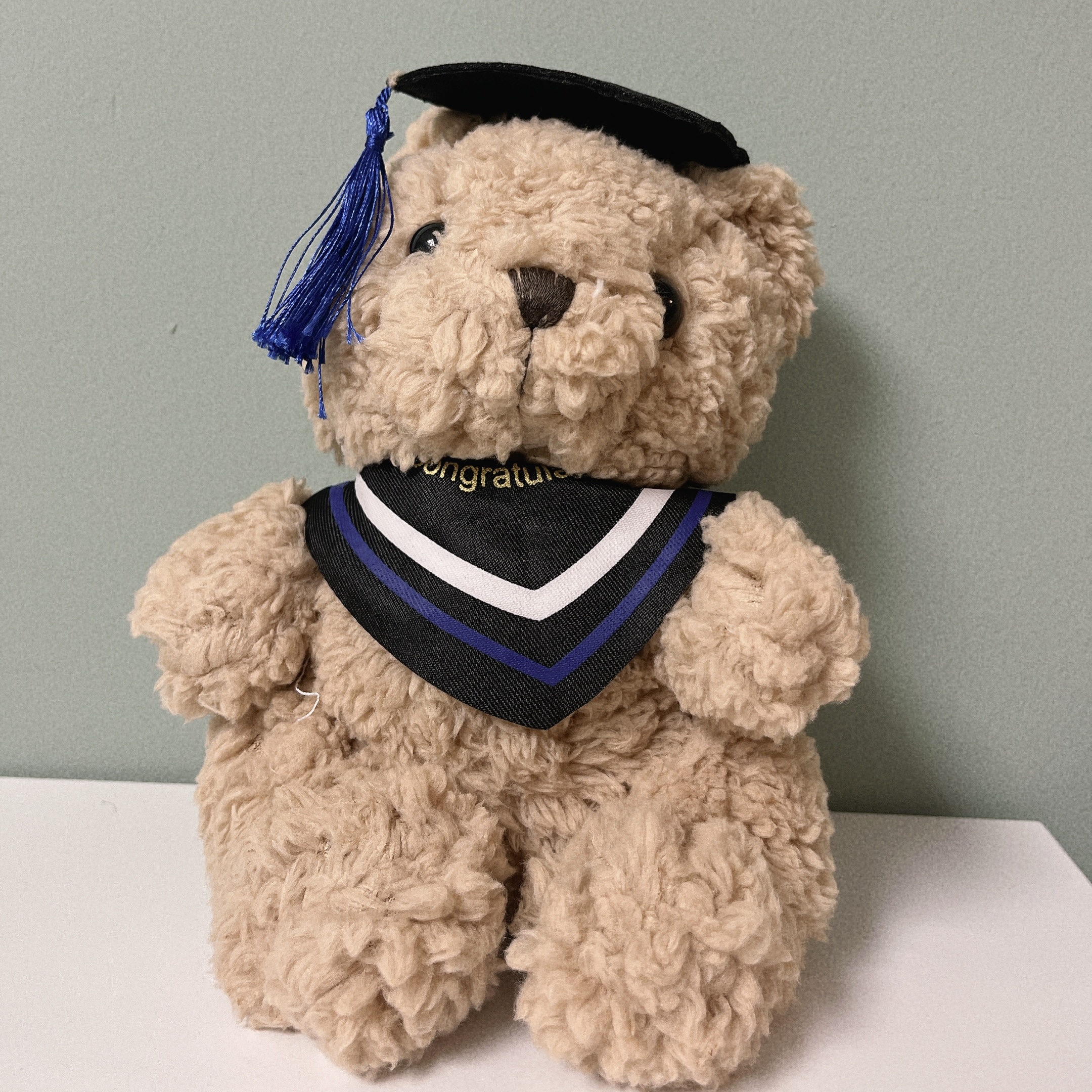 Blue Graduation Bear