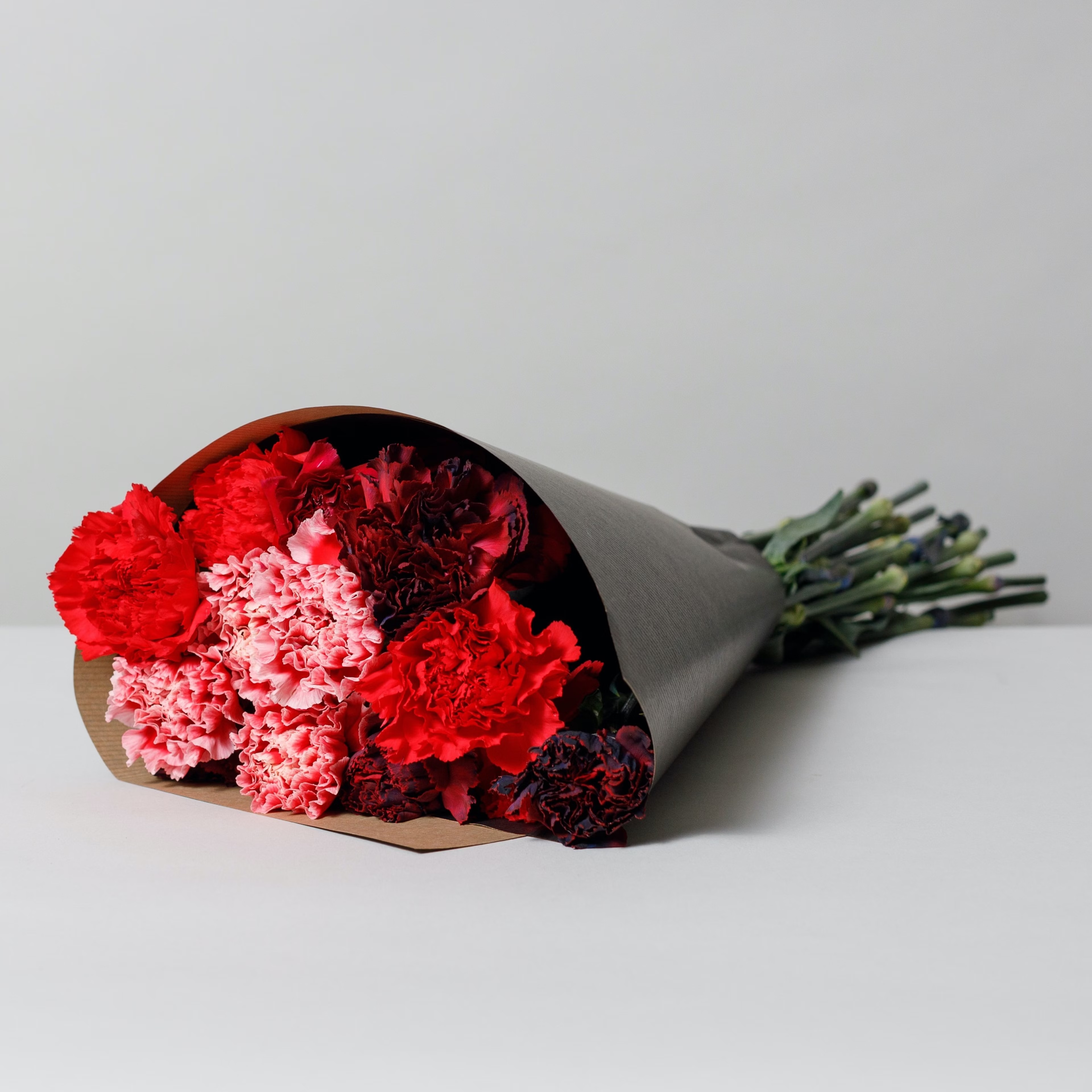 Winter Mix Carnation