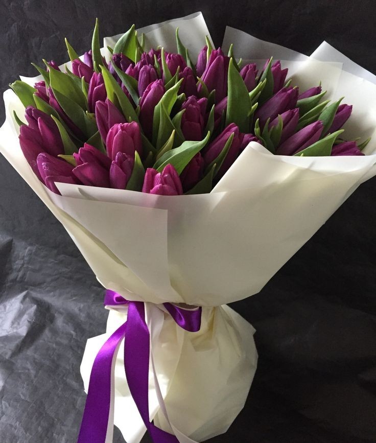 Purple Tulips