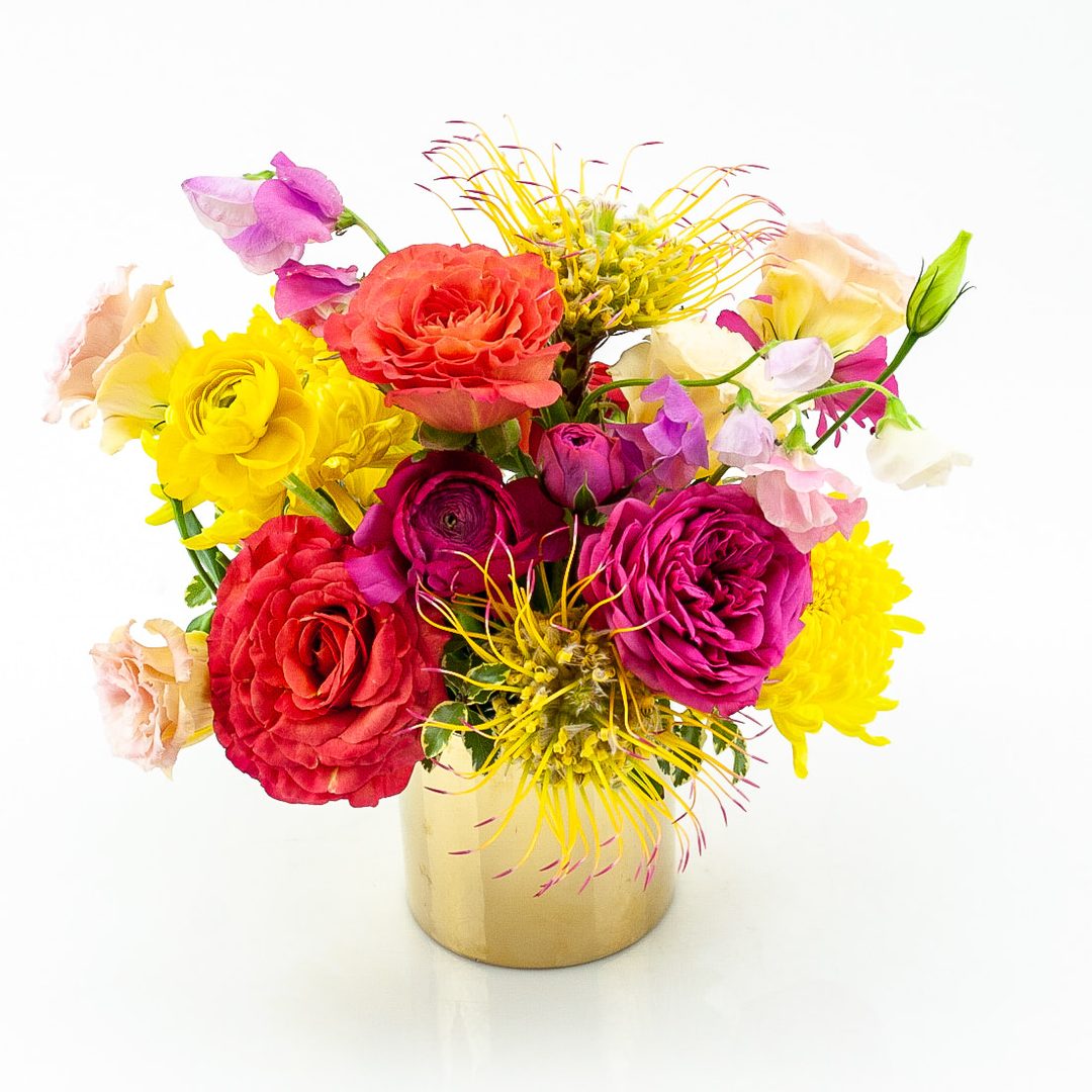 BRIGHT SURPRISE FLORA