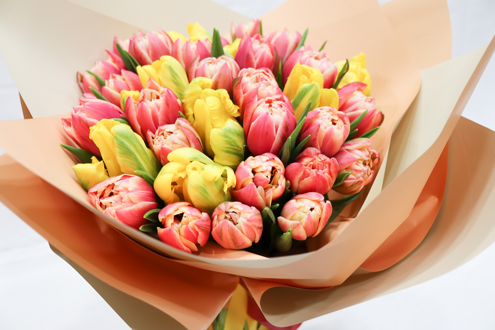 The Tulip