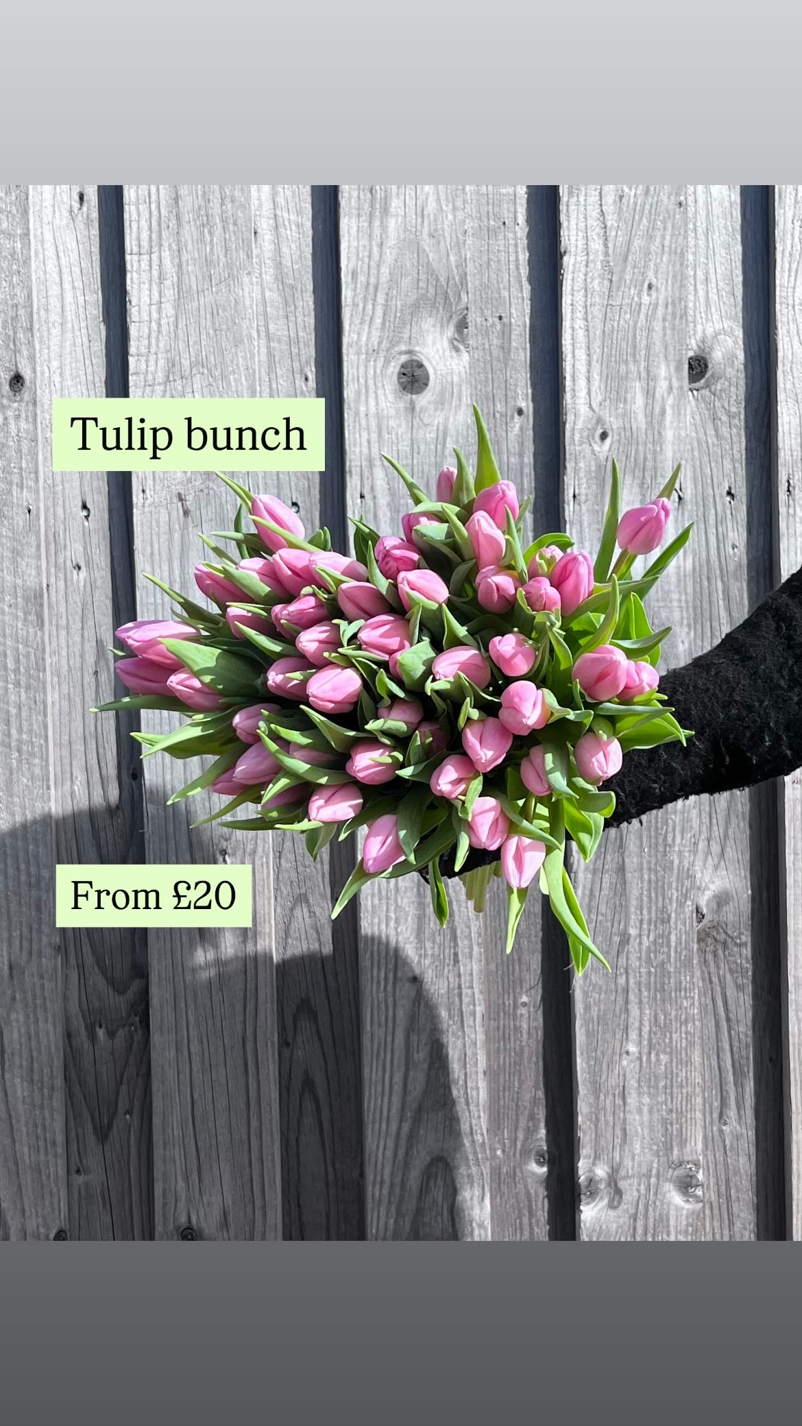 Tulip Bunch