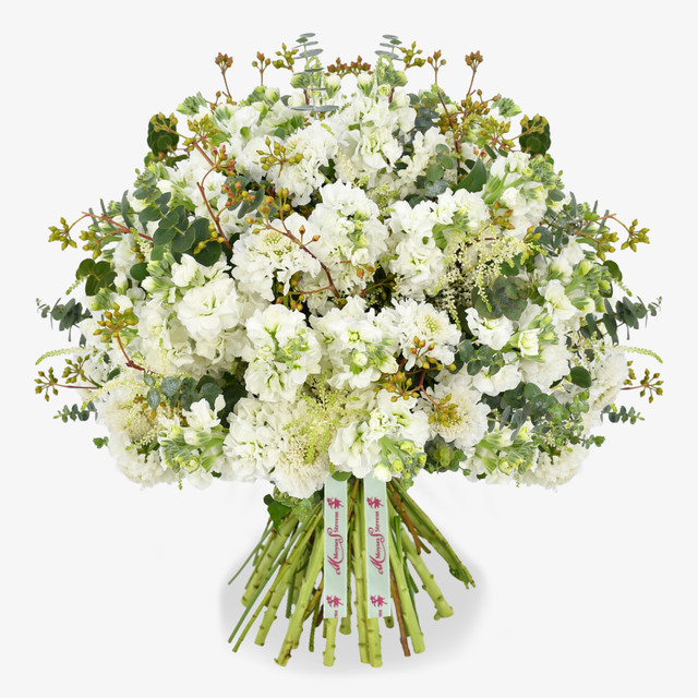 Original by Moyses Stevens Flowers — flowers available for delivery from Floom