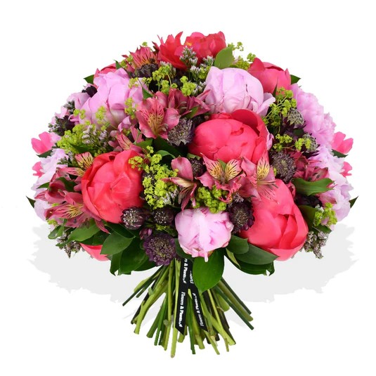 Original by Flowers & Plants Co — flowers available for delivery from Floom