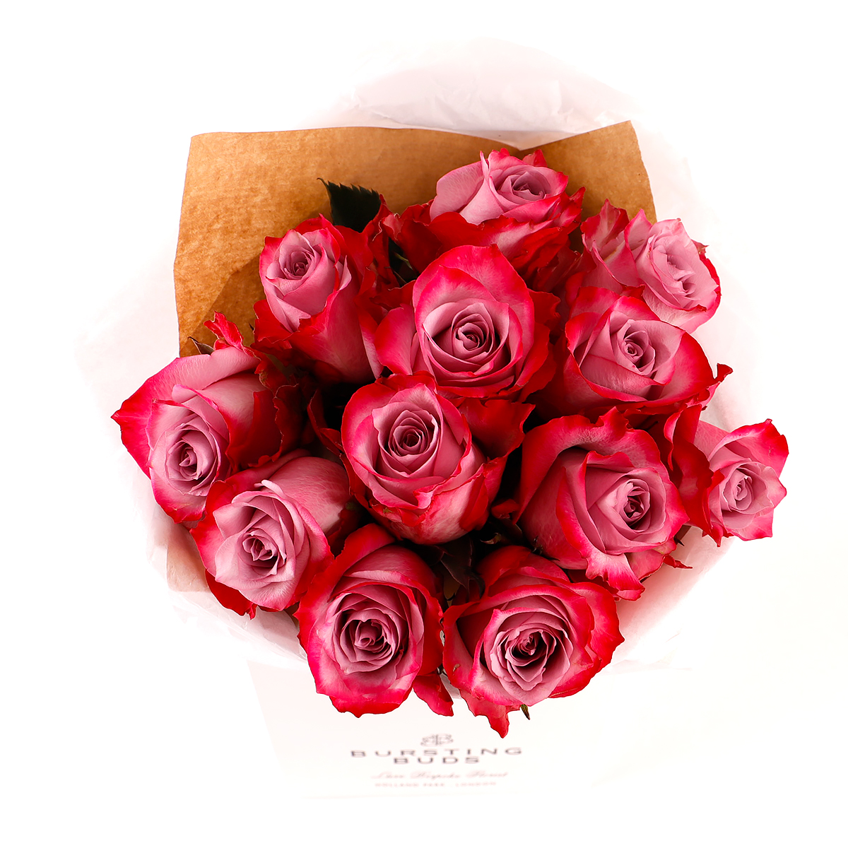 Velvet Twilight Roses