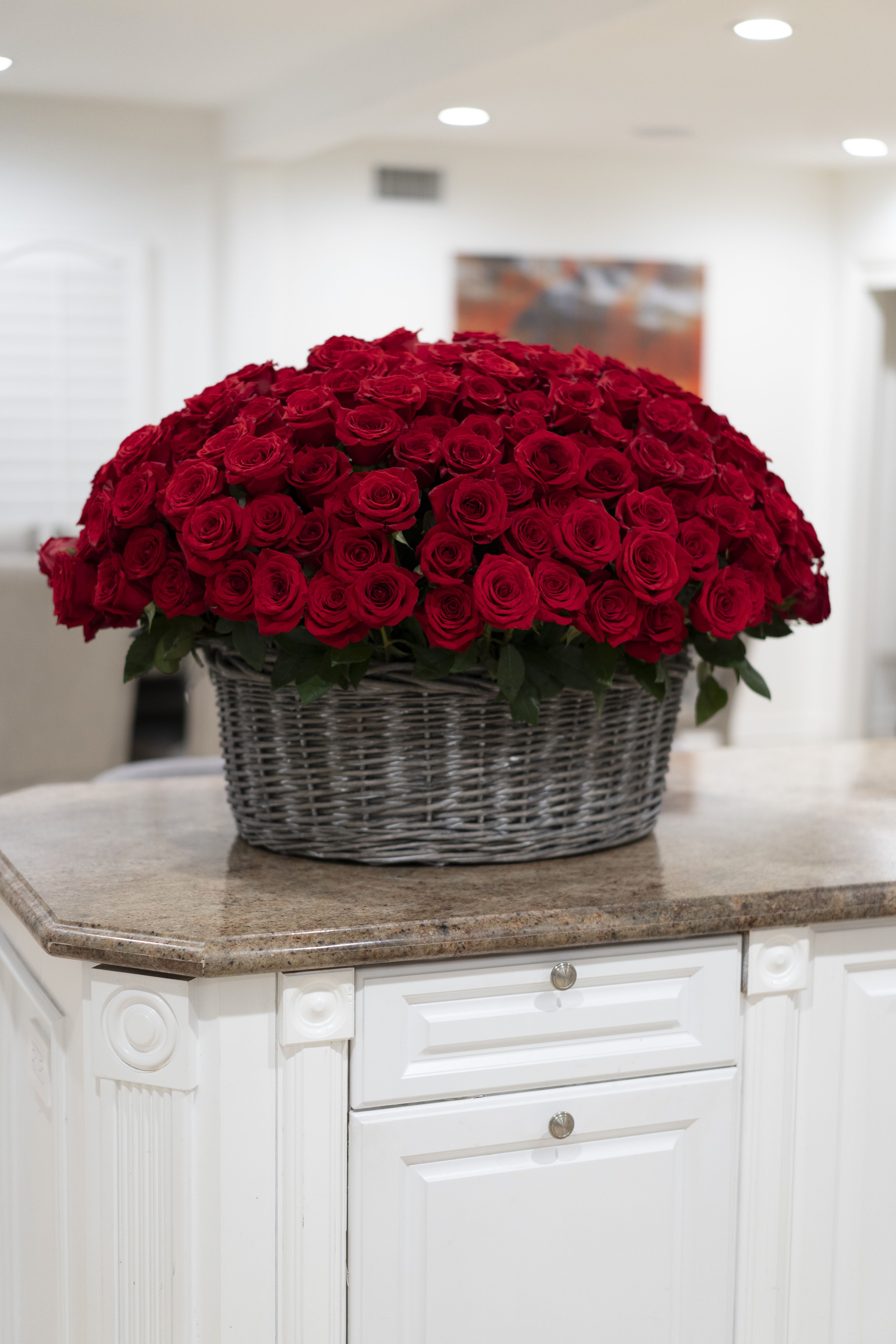 300 red roses basket