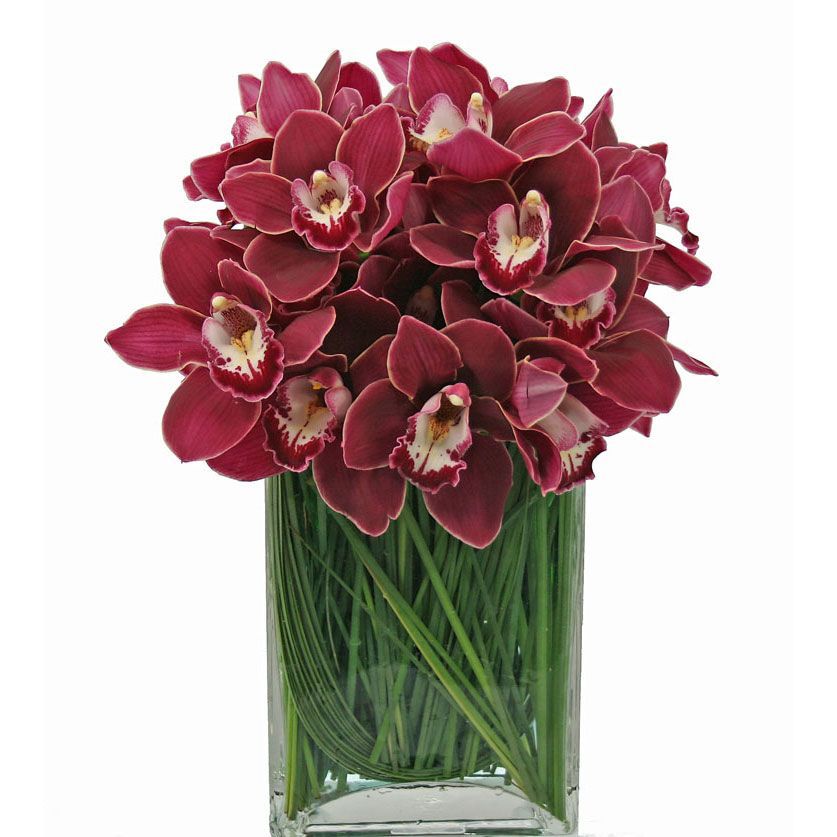 Red Cymbidium orchid