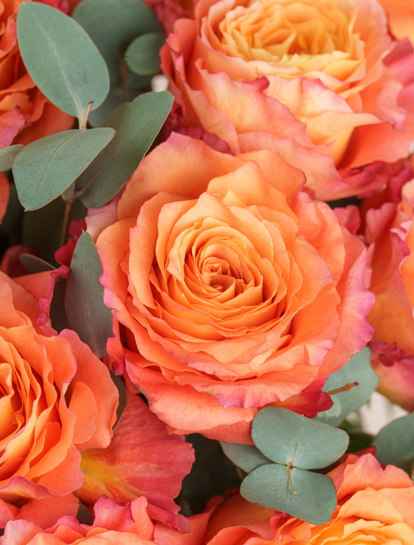 Original by Ode a La ROSE- Chicago  — flowers available for delivery from Floom