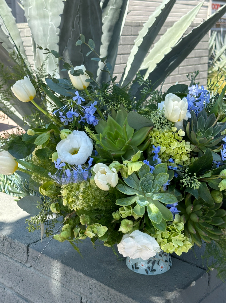 Celebrate Succulents