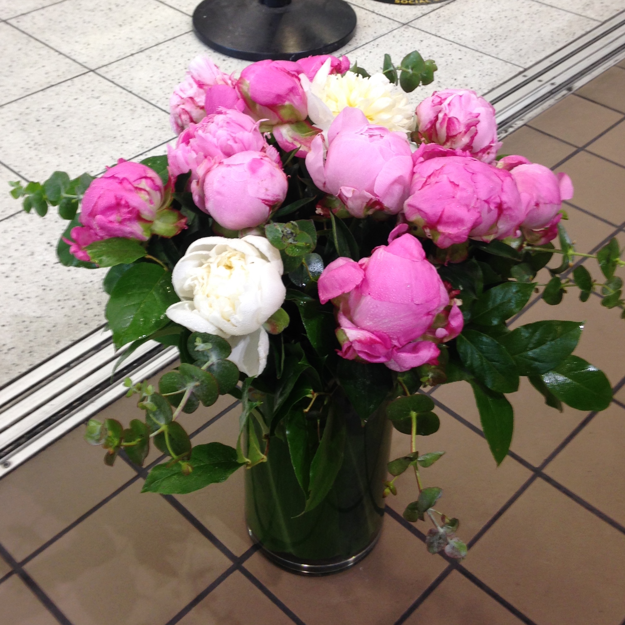 Pretty Peonies