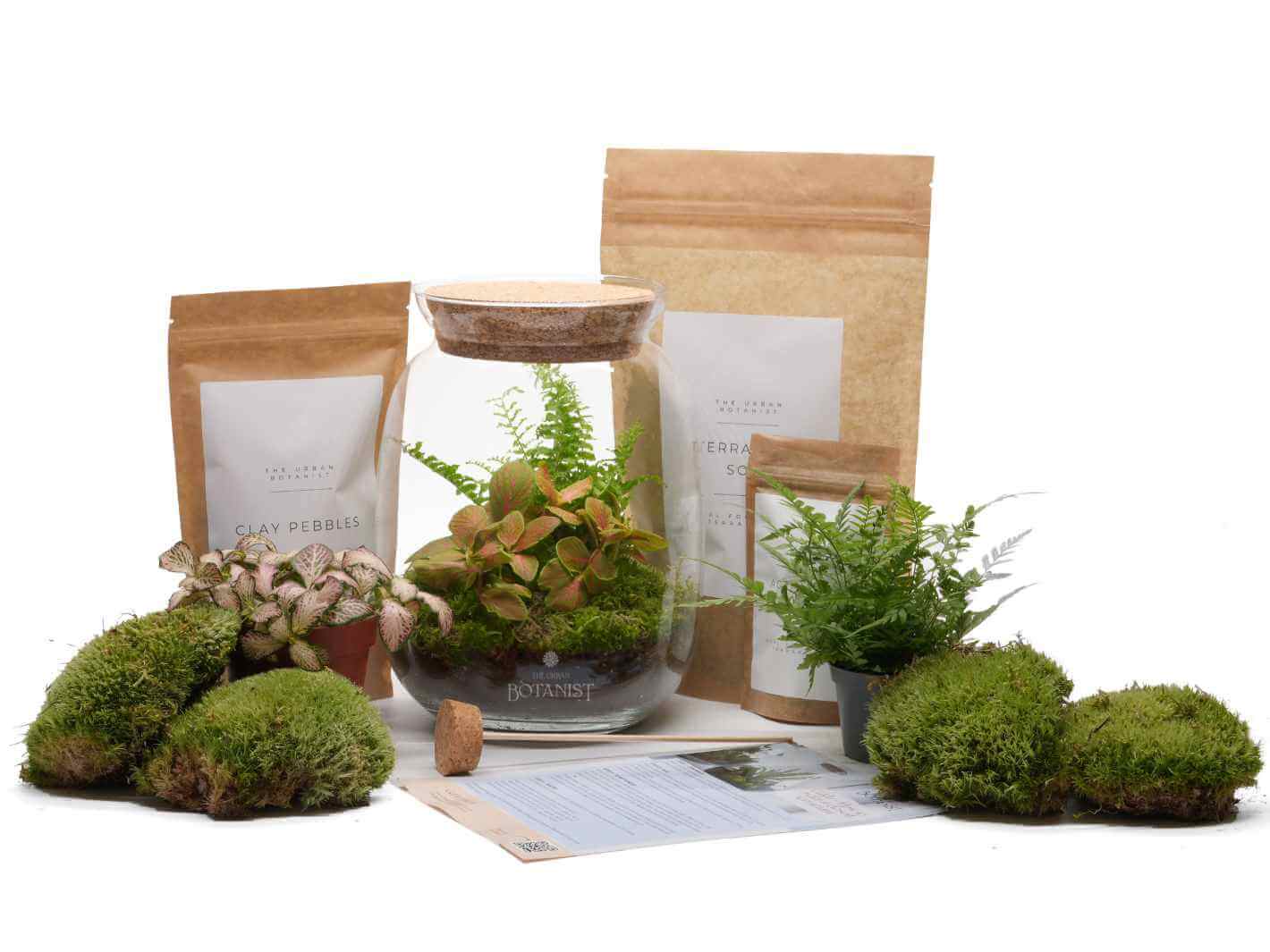DIY Terrarium H22
