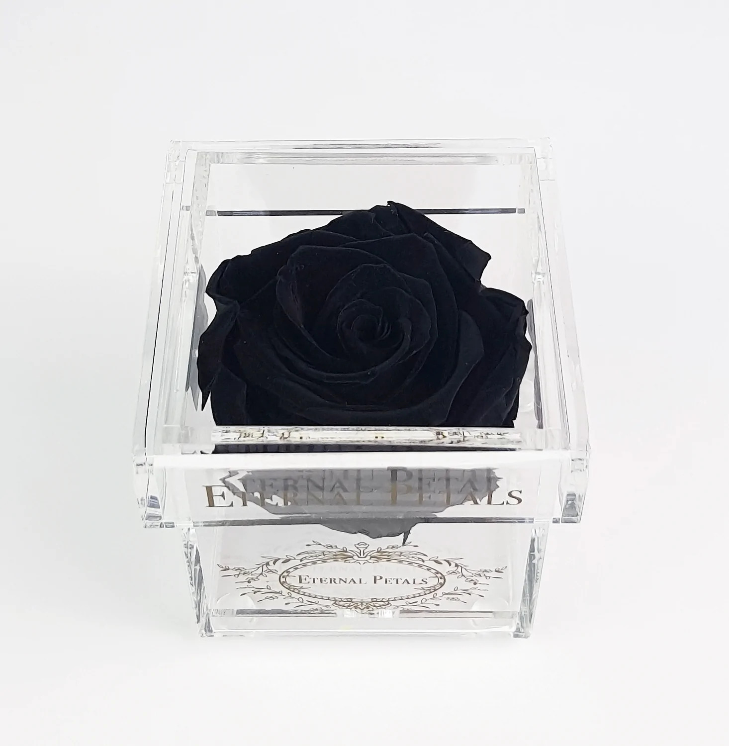Eternal Rose - Black