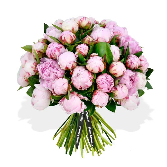 Original by Flowers & Plants Co — flowers available for delivery from Floom