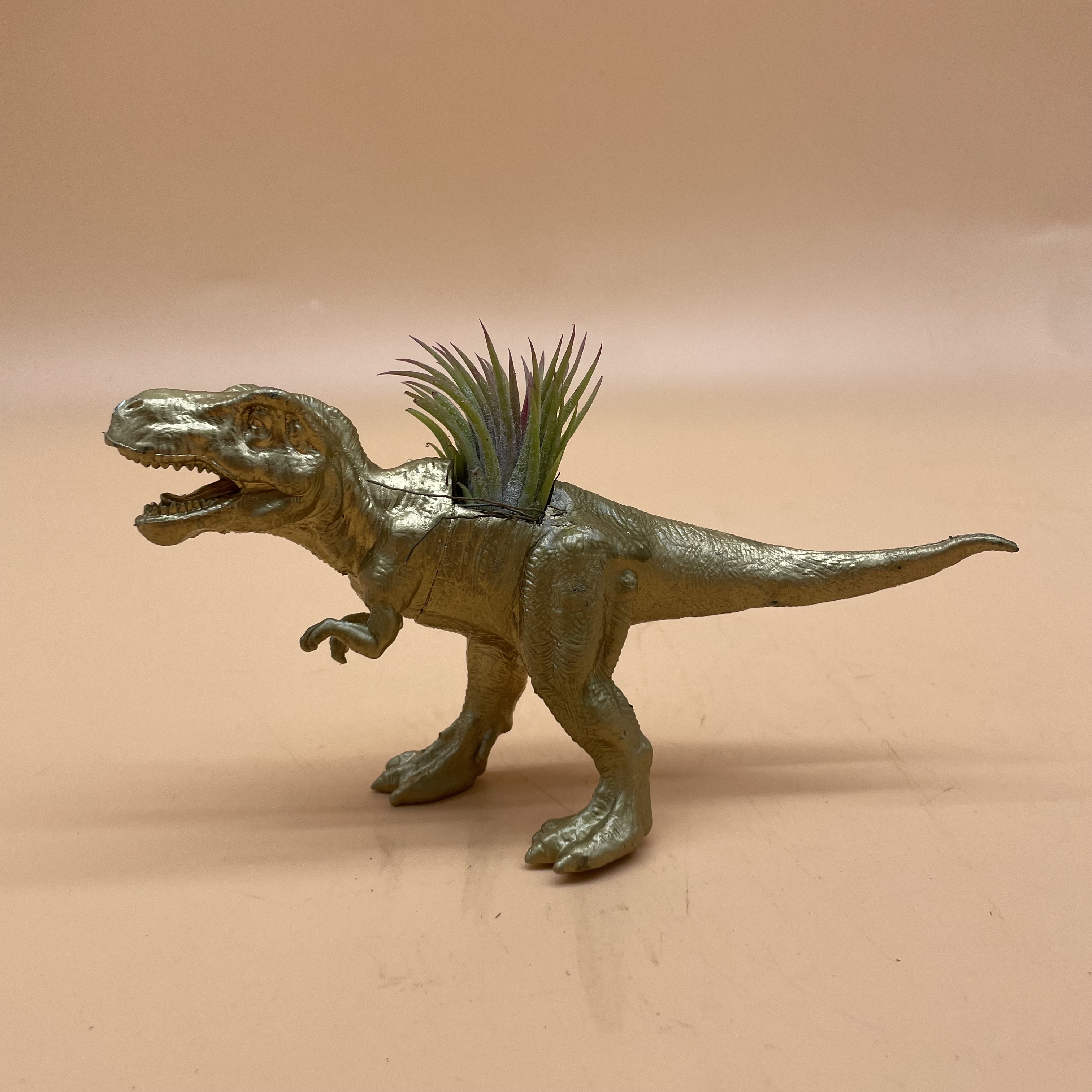 GOLD T-REX & AIRPLANT 