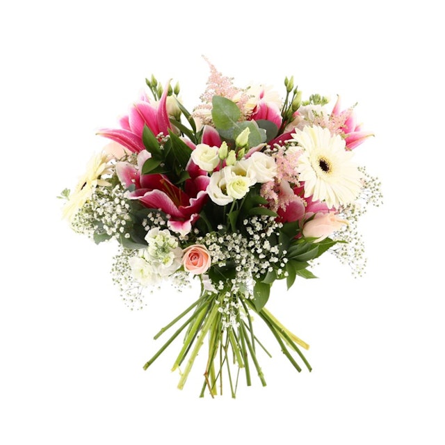 Soft Pink Premium