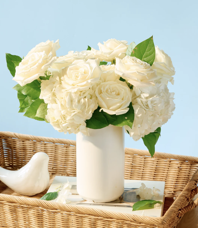 Ivory Double- Ceramic