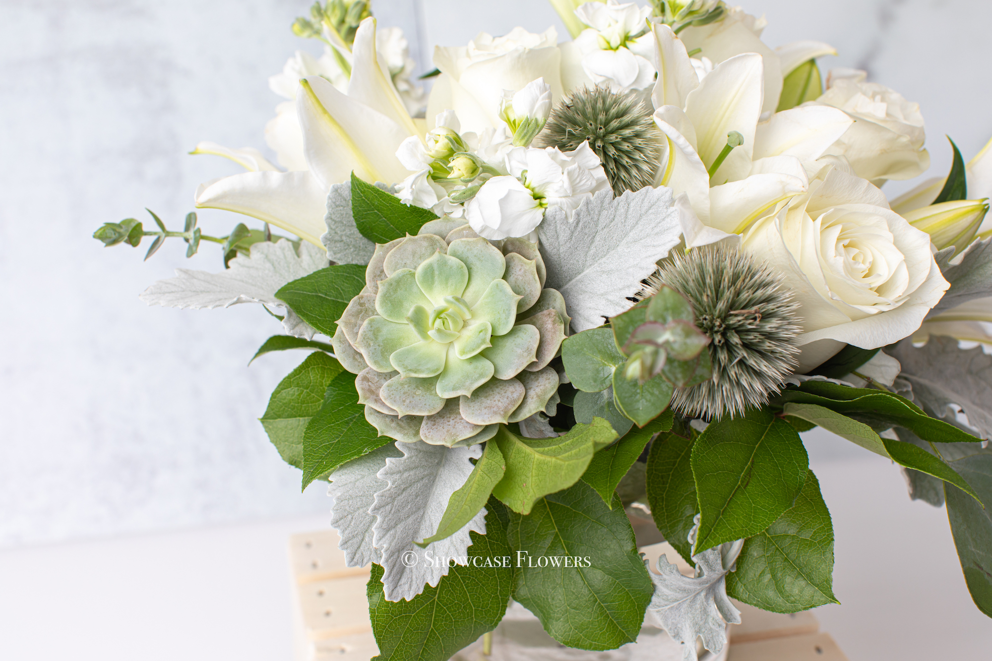 White Modern Elegance