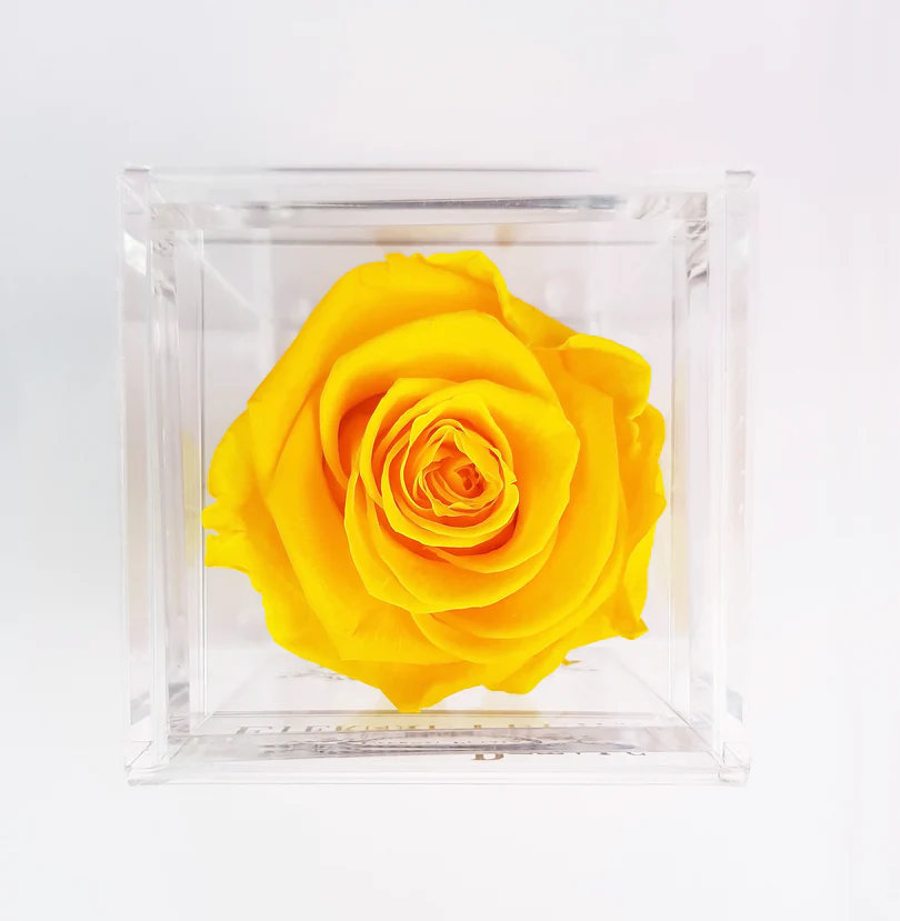 Eternal Rose Yellow