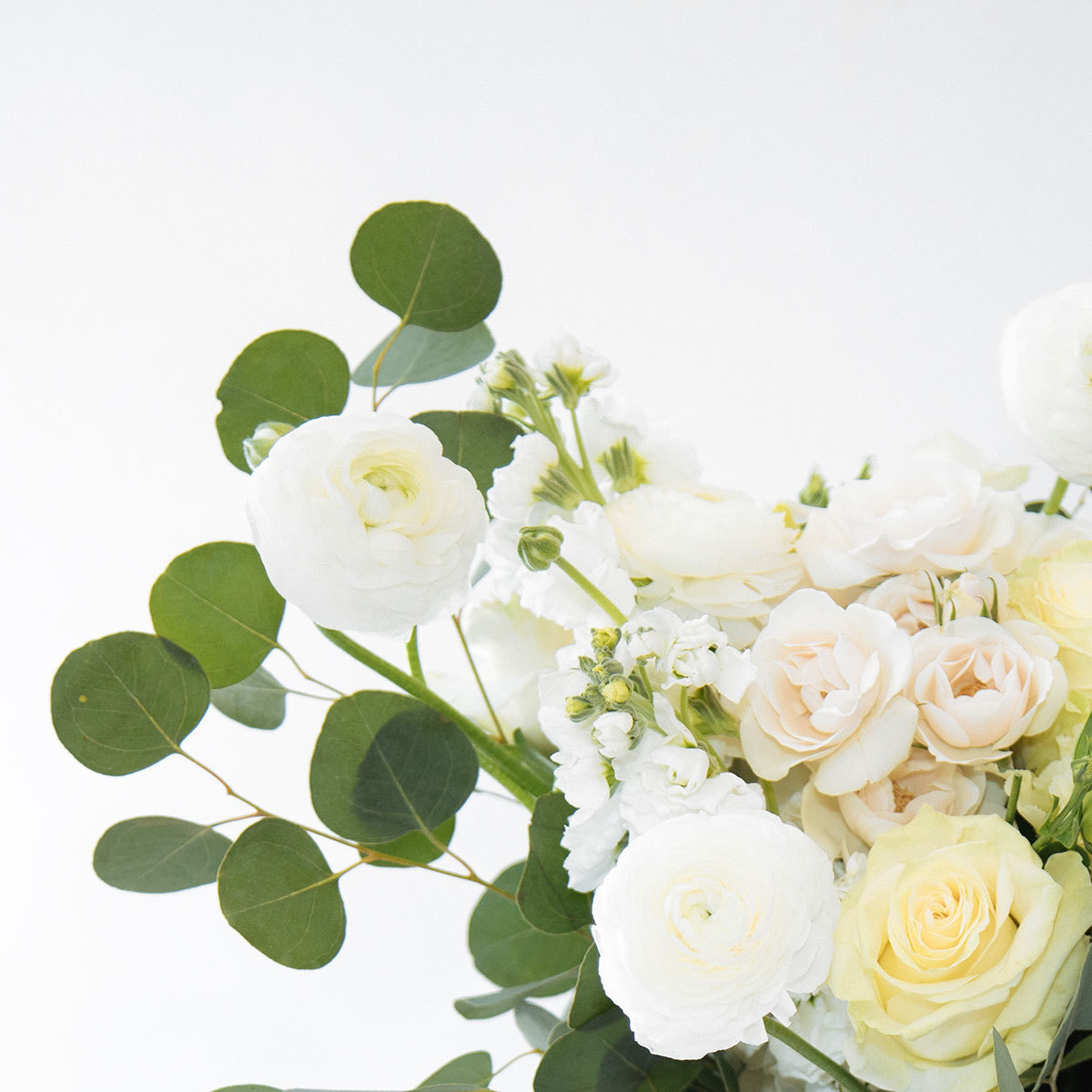 Champagne Bubbles original