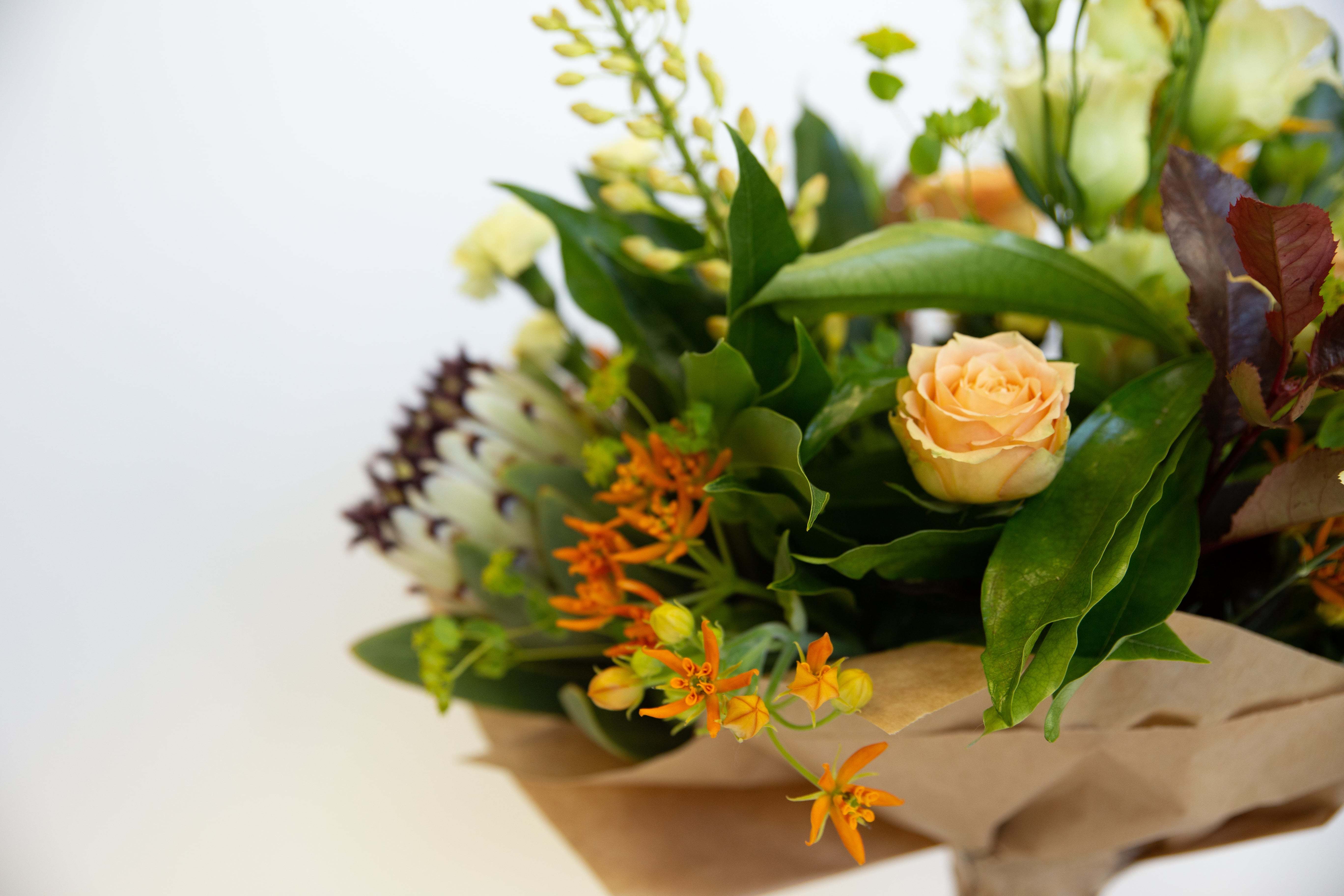 Charm & Adventure original