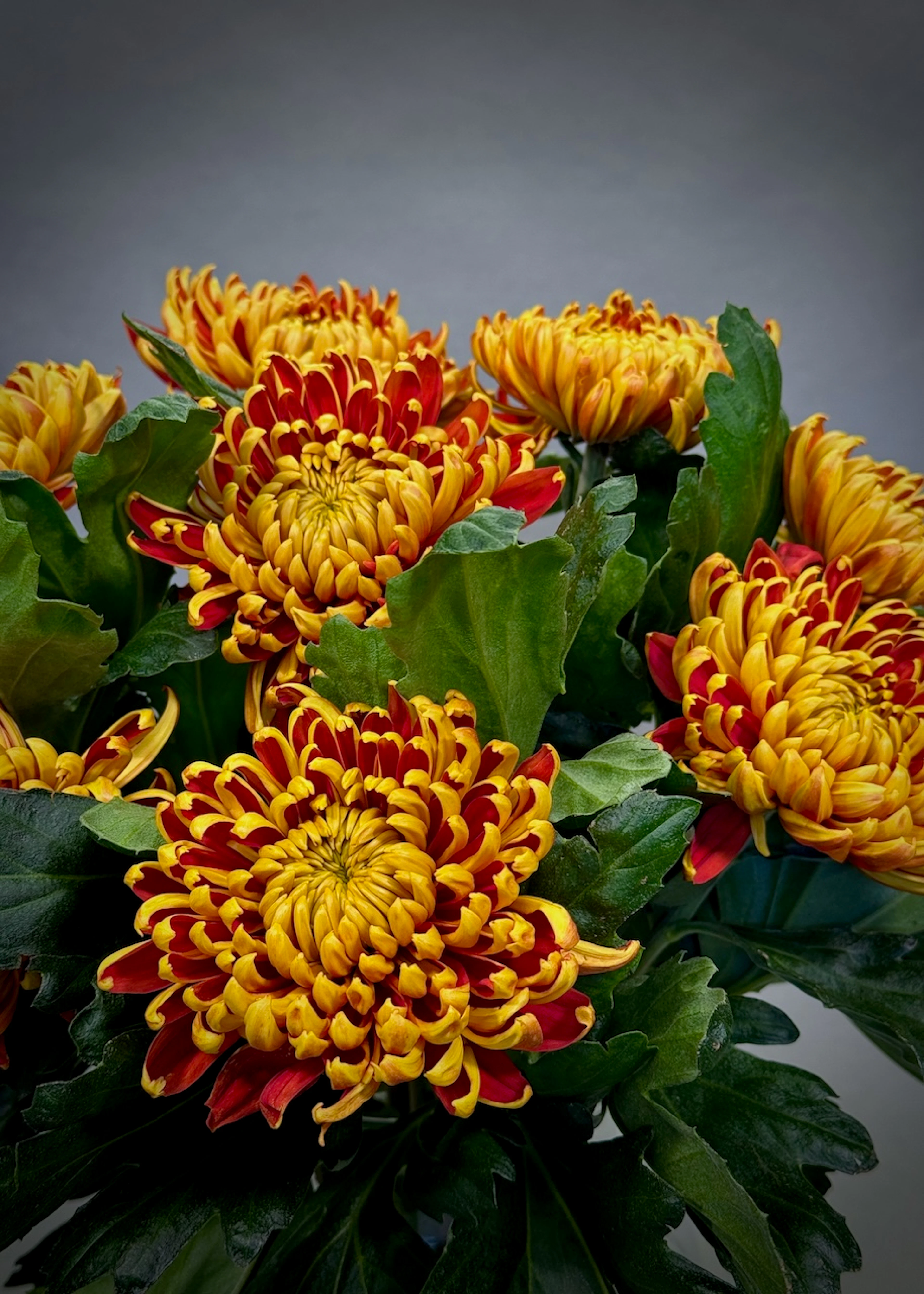 Original by Maples Flowers — flowers available for delivery from Floom