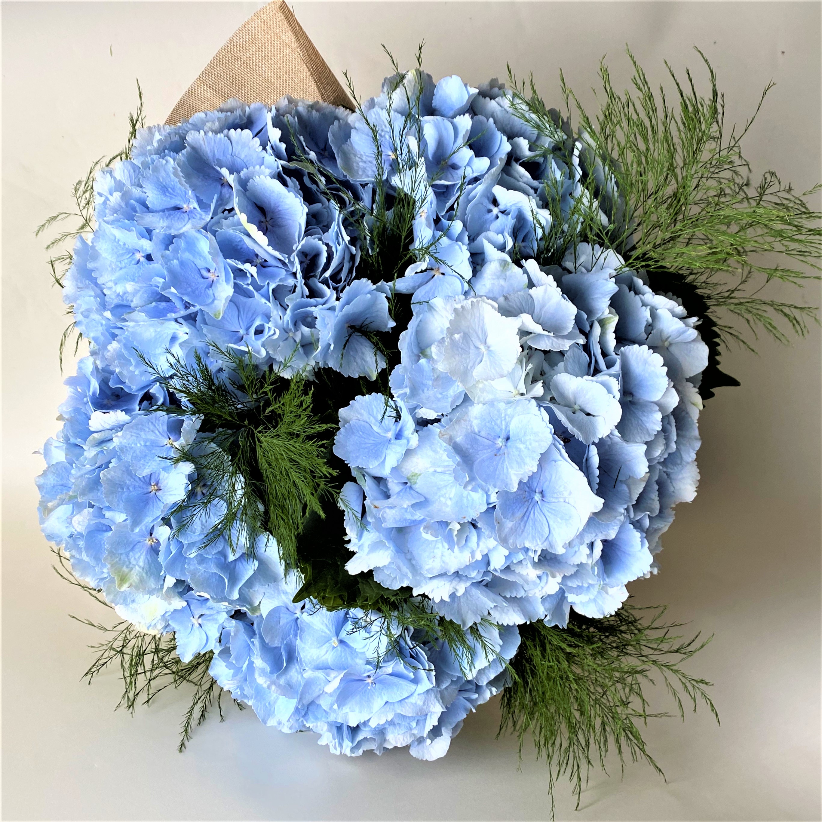 Hydrangea En Mass by Mad Lilies — flowers available for delivery from Floom