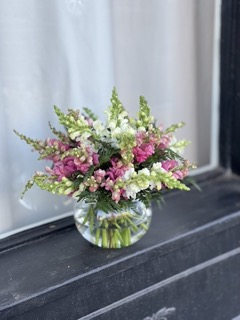 No.784 - snapdragons