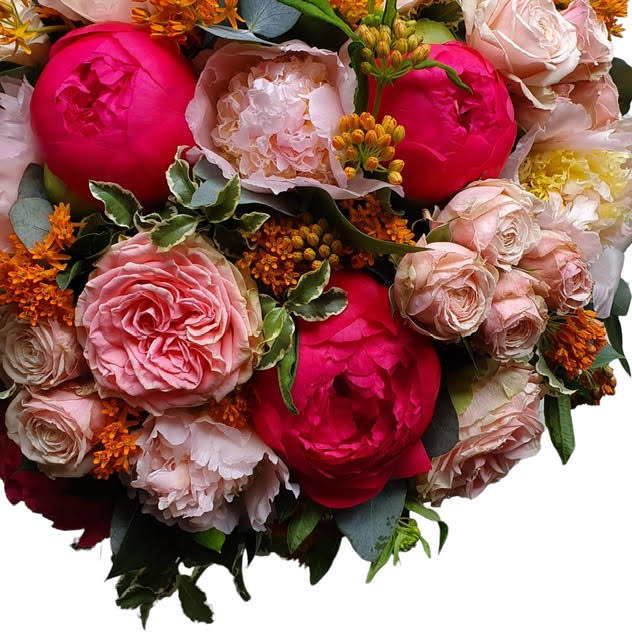 Peonies and Roses