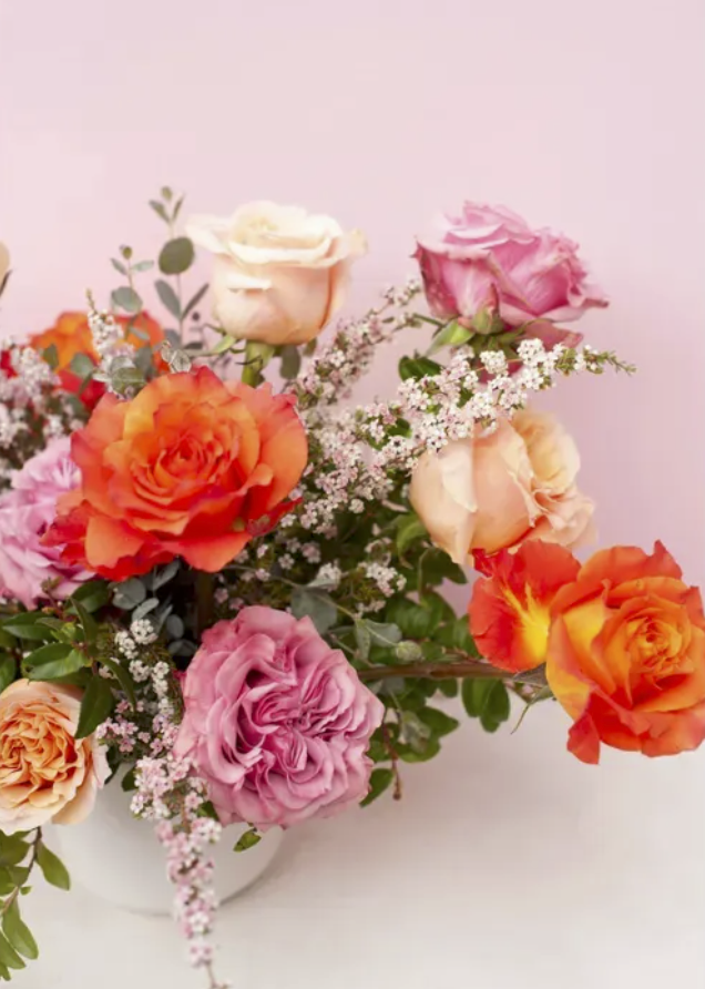 Dazzling Double Dozen