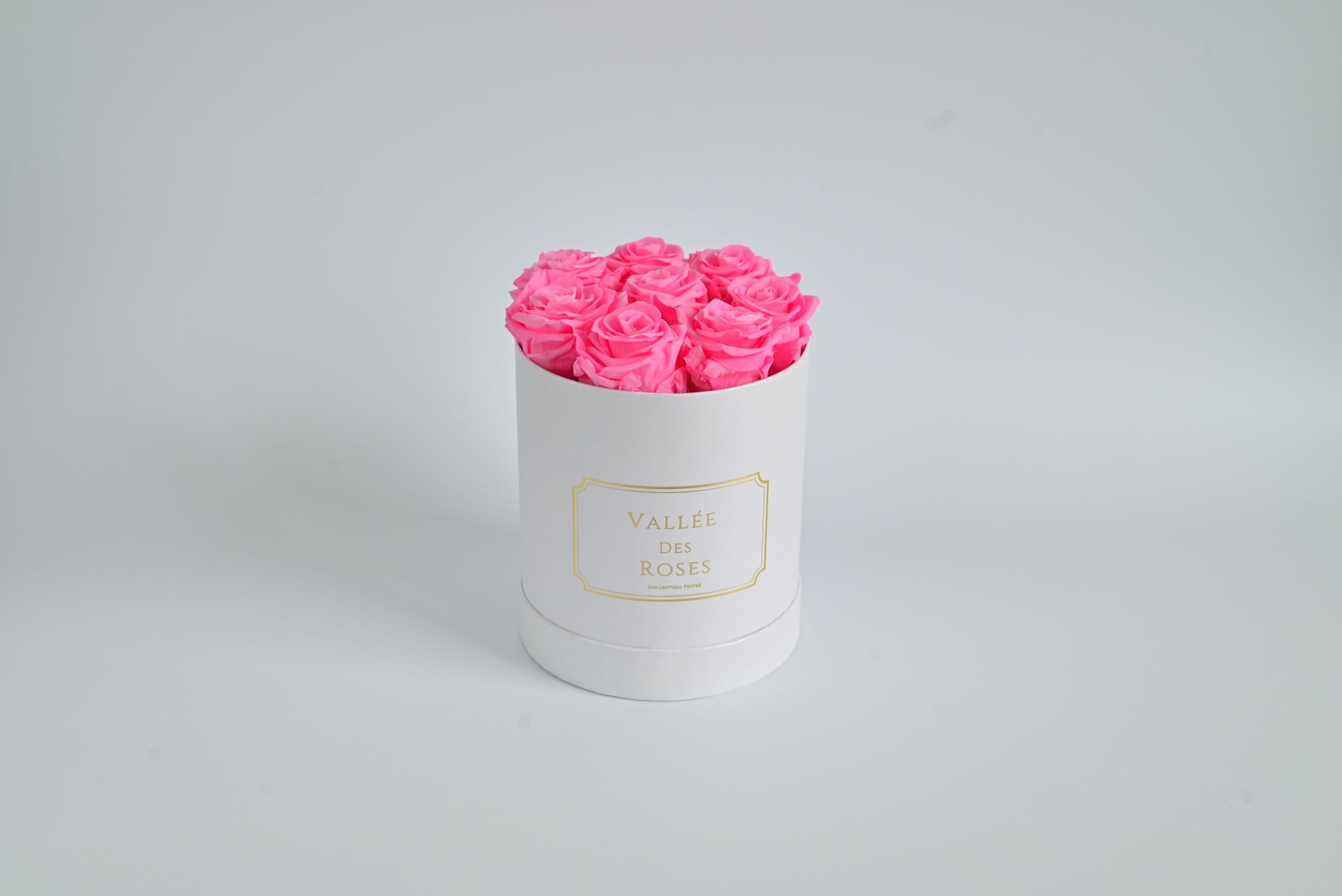 1 Year Lasting Roses