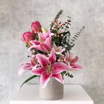 Tropical Luxury Lilie