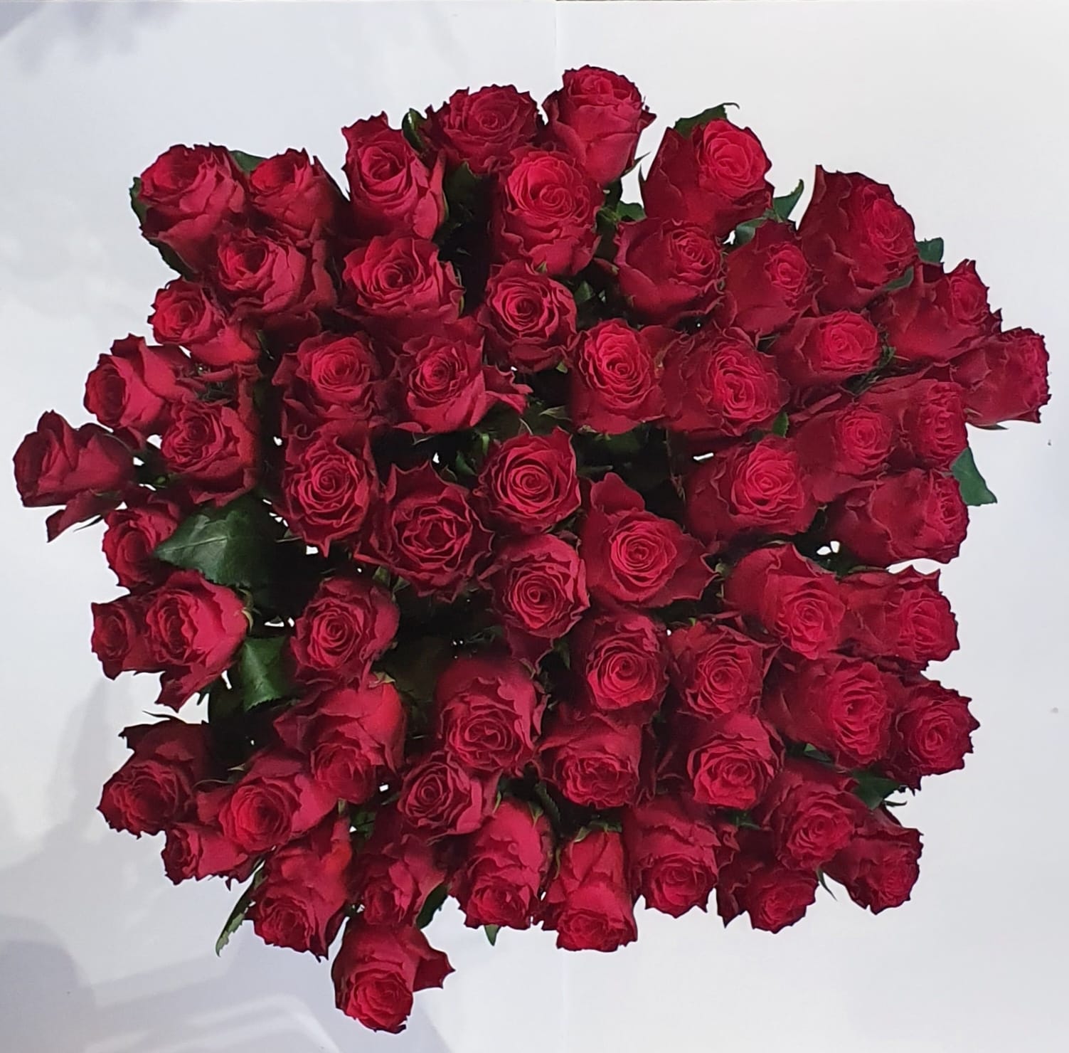 60 Red Roses