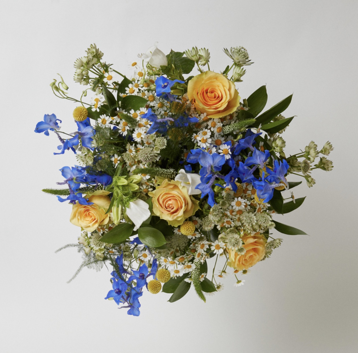 Jeannie in the Summer