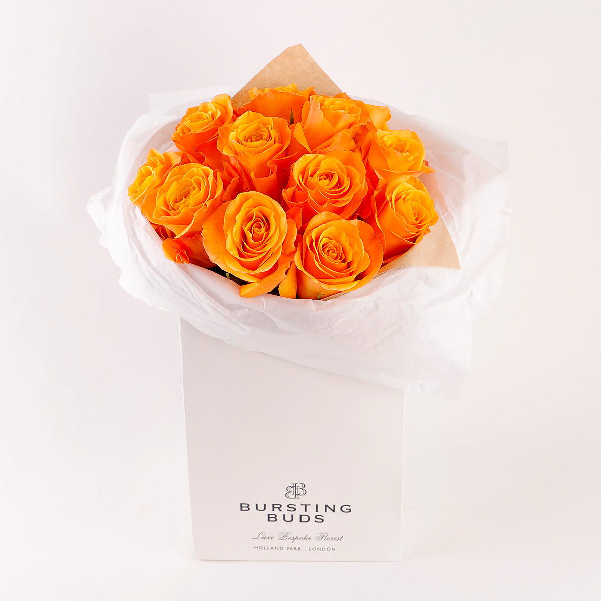 Golden Glow Elegance