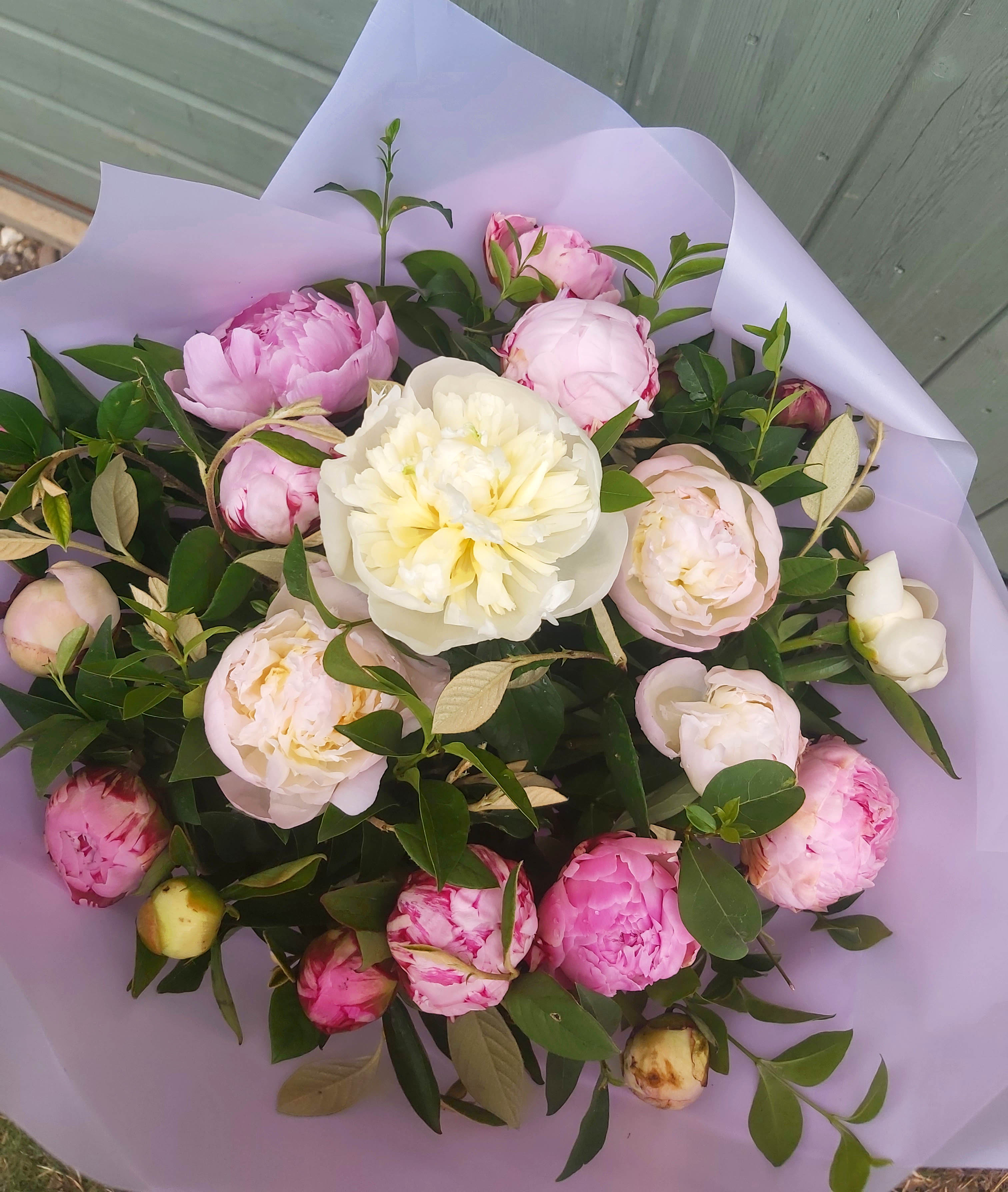 Pink & white peonies