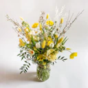 The Sunshine Jar