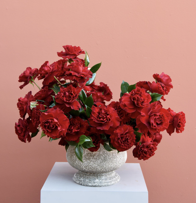 Luxury 5 Dozen Roses