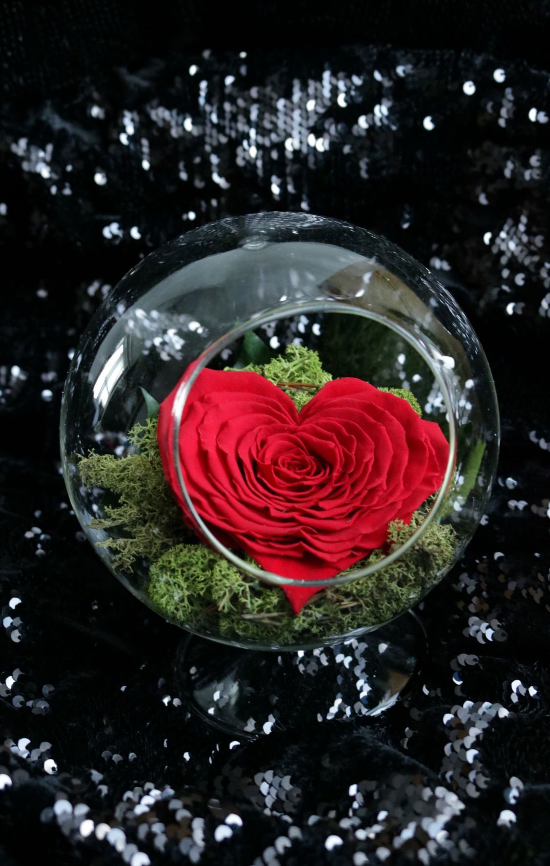 Enhanced Heart Dream 