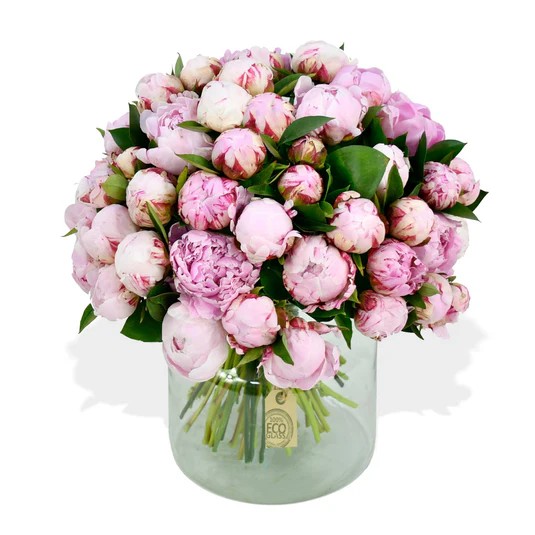 Original by Flowers & Plants Co — flowers available for delivery from Floom